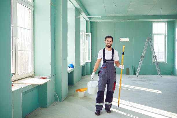 Best Black Mold Removal  in Kirkwood, MO